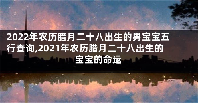 2022年农历腊月二十八出生的男宝宝五行查询,2021年农历腊月二十八出生的宝宝的命运