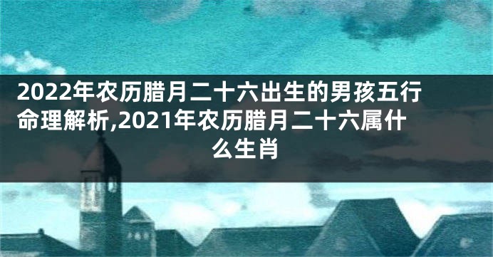 2022年农历腊月二十六出生的男孩五行命理解析,2021年农历腊月二十六属什么生肖