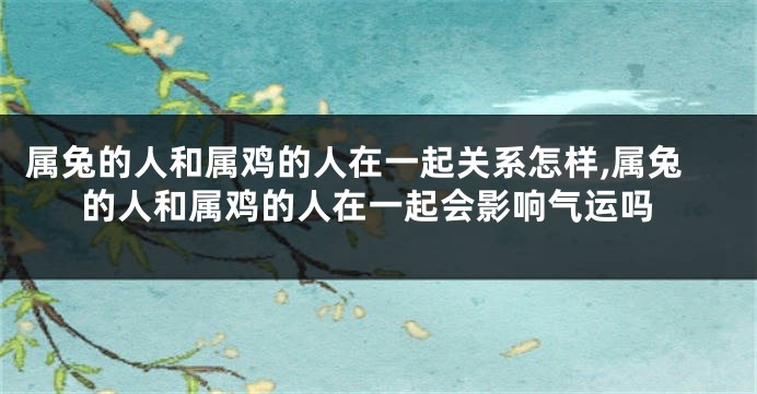 属兔的人和属鸡的人在一起关系怎样,属兔的人和属鸡的人在一起会影响气运吗