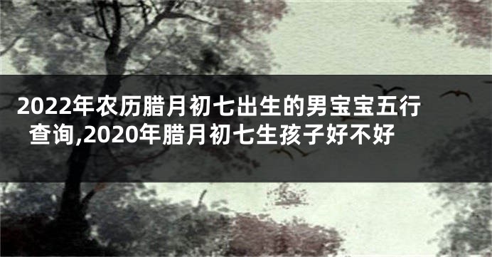 2022年农历腊月初七出生的男宝宝五行查询,2020年腊月初七生孩子好不好