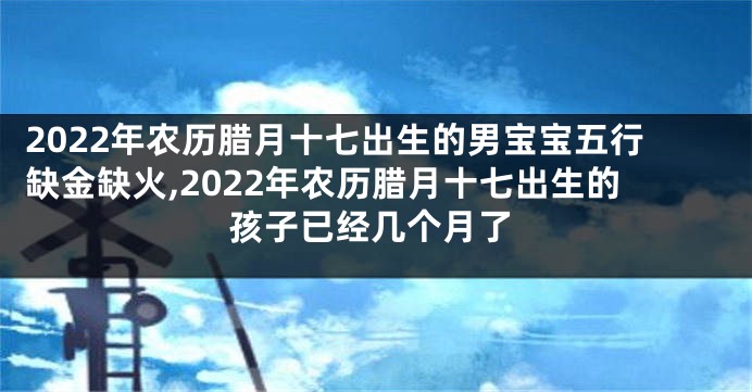 2022年农历腊月十七出生的男宝宝五行缺金缺火,2022年农历腊月十七出生的孩子已经几个月了