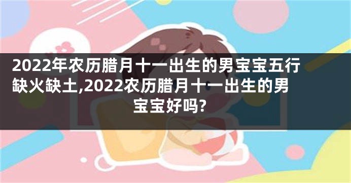 2022年农历腊月十一出生的男宝宝五行缺火缺土,2022农历腊月十一出生的男宝宝好吗?