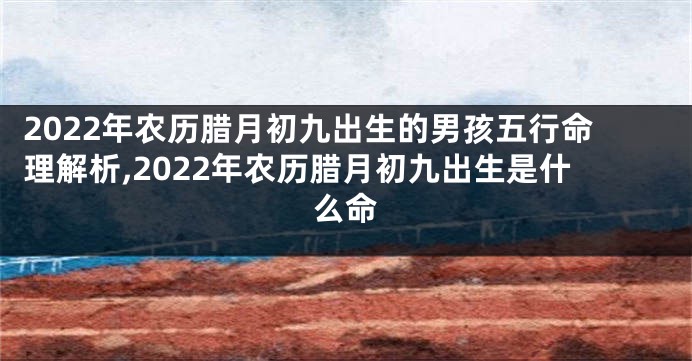 2022年农历腊月初九出生的男孩五行命理解析,2022年农历腊月初九出生是什么命