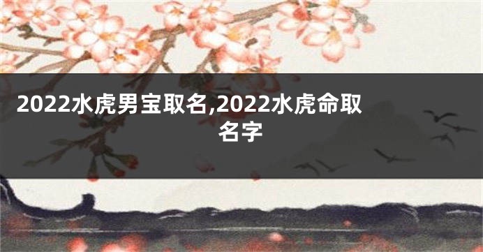 2022水虎男宝取名,2022水虎命取名字