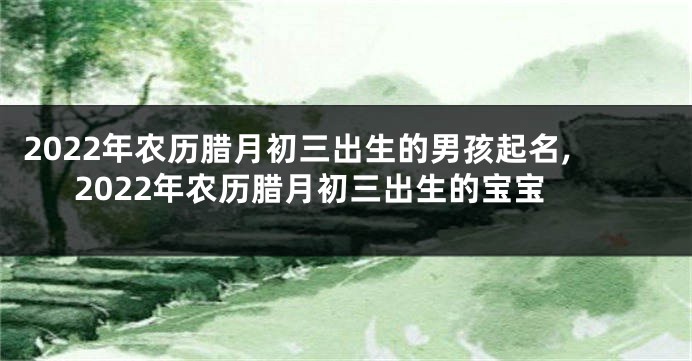2022年农历腊月初三出生的男孩起名,2022年农历腊月初三出生的宝宝