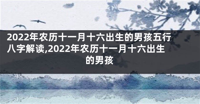 2022年农历十一月十六出生的男孩五行八字解读,2022年农历十一月十六出生的男孩