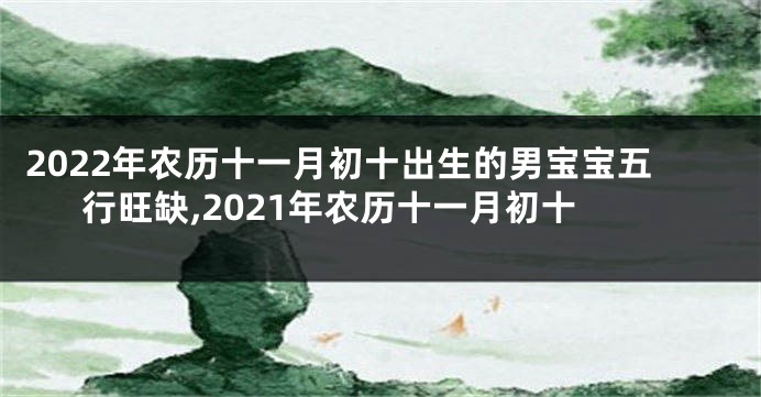 2022年农历十一月初十出生的男宝宝五行旺缺,2021年农历十一月初十