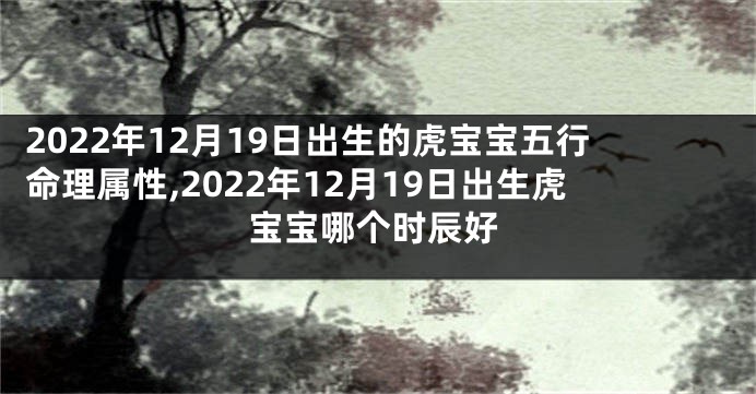 2022年12月19日出生的虎宝宝五行命理属性,2022年12月19日出生虎宝宝哪个时辰好