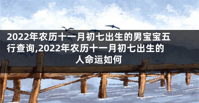 2022年农历十一月初七出生的男宝宝五行查询,2022年农历十一月初七出生的人命运如何
