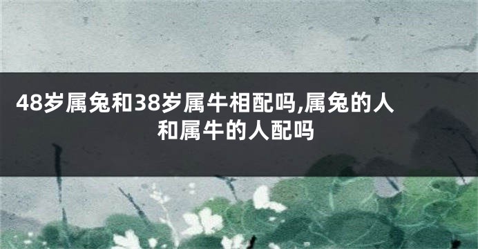 48岁属兔和38岁属牛相配吗,属兔的人和属牛的人配吗