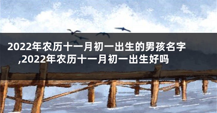 2022年农历十一月初一出生的男孩名字,2022年农历十一月初一出生好吗