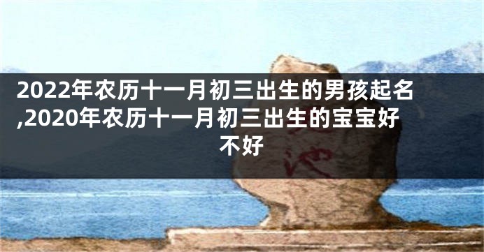 2022年农历十一月初三出生的男孩起名,2020年农历十一月初三出生的宝宝好不好