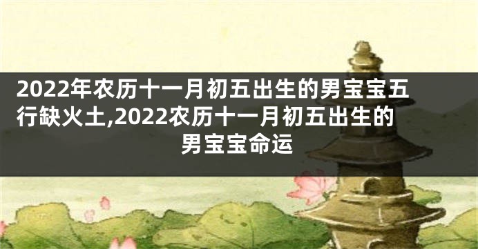 2022年农历十一月初五出生的男宝宝五行缺火土,2022农历十一月初五出生的男宝宝命运