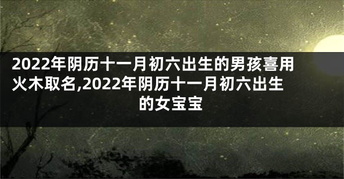 2022年阴历十一月初六出生的男孩喜用火木取名,2022年阴历十一月初六出生的女宝宝