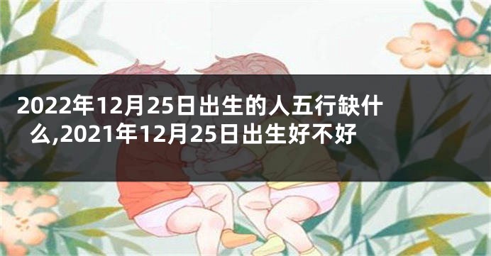 2022年12月25日出生的人五行缺什么,2021年12月25日出生好不好