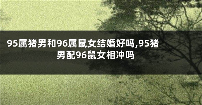 95属猪男和96属鼠女结婚好吗,95猪男配96鼠女相冲吗