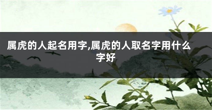 属虎的人起名用字,属虎的人取名字用什么字好