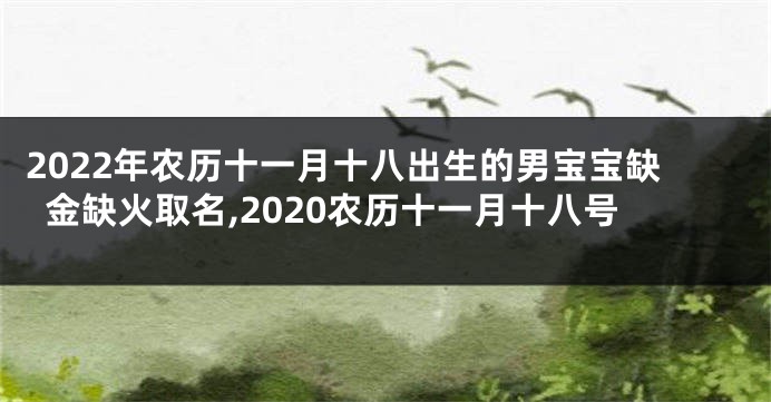 2022年农历十一月十八出生的男宝宝缺金缺火取名,2020农历十一月十八号