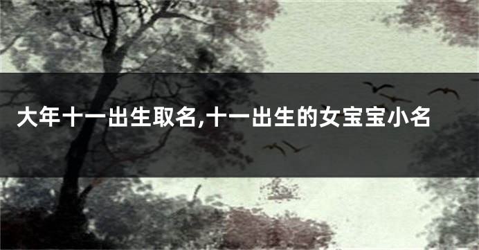 大年十一出生取名,十一出生的女宝宝小名