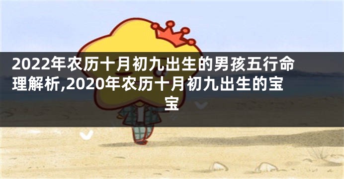 2022年农历十月初九出生的男孩五行命理解析,2020年农历十月初九出生的宝宝