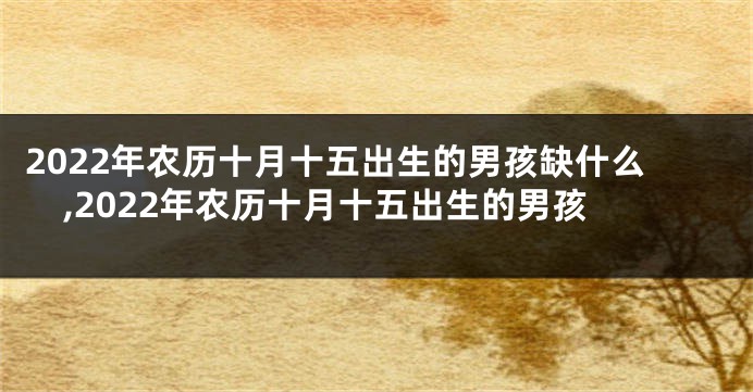 2022年农历十月十五出生的男孩缺什么,2022年农历十月十五出生的男孩