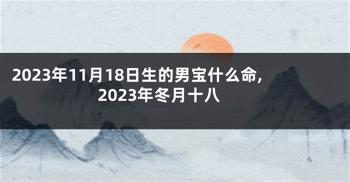 2023年11月18日生的男宝什么命,2023年冬月十八