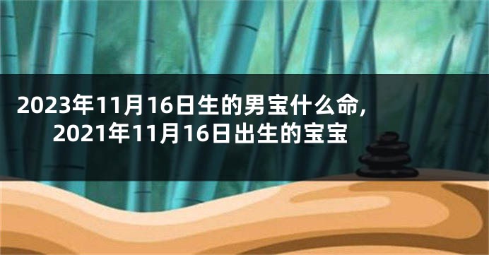 2023年11月16日生的男宝什么命,2021年11月16日出生的宝宝