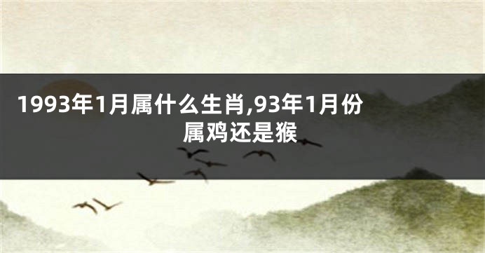 1993年1月属什么生肖,93年1月份属鸡还是猴