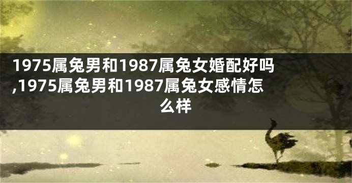 1975属兔男和1987属兔女婚配好吗,1975属兔男和1987属兔女感情怎么样