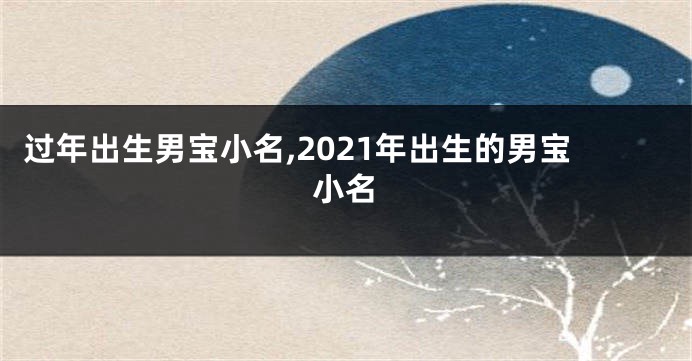过年出生男宝小名,2021年出生的男宝小名
