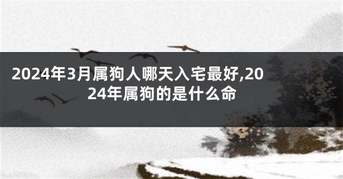 2024年3月属狗人哪天入宅最好,2024年属狗的是什么命