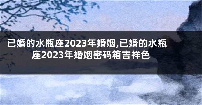 已婚的水瓶座2023年婚姻,已婚的水瓶座2023年婚姻密码箱吉祥色