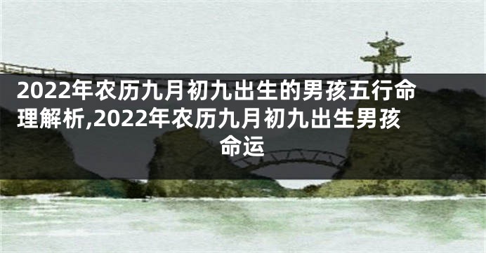 2022年农历九月初九出生的男孩五行命理解析,2022年农历九月初九出生男孩命运
