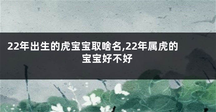 22年出生的虎宝宝取啥名,22年属虎的宝宝好不好