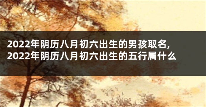 2022年阴历八月初六出生的男孩取名,2022年阴历八月初六出生的五行属什么