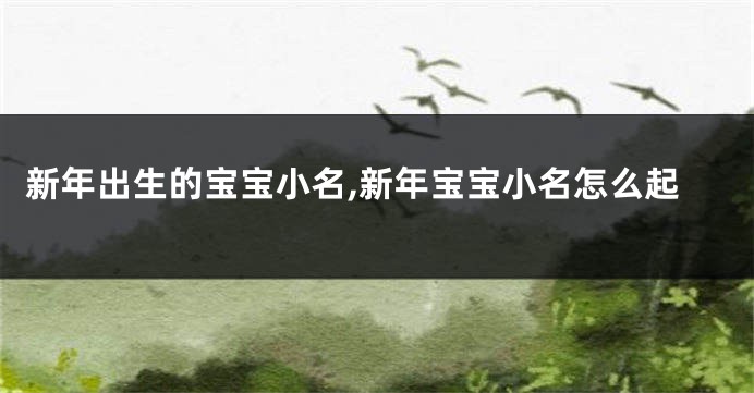 新年出生的宝宝小名,新年宝宝小名怎么起