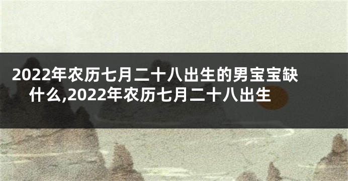 2022年农历七月二十八出生的男宝宝缺什么,2022年农历七月二十八出生