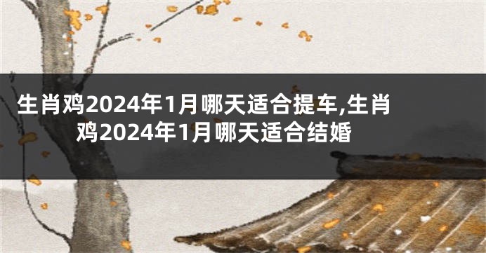 生肖鸡2024年1月哪天适合提车,生肖鸡2024年1月哪天适合结婚