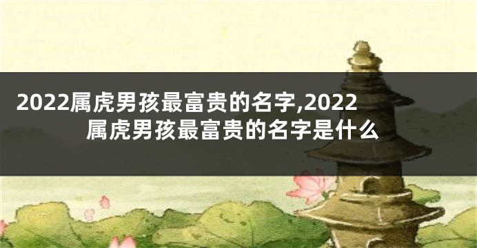 2022属虎男孩最富贵的名字,2022属虎男孩最富贵的名字是什么