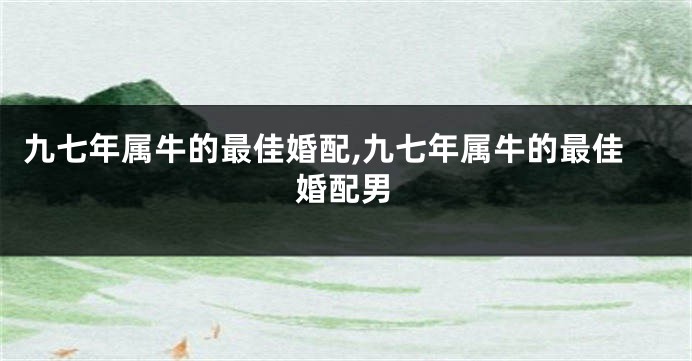九七年属牛的最佳婚配,九七年属牛的最佳婚配男