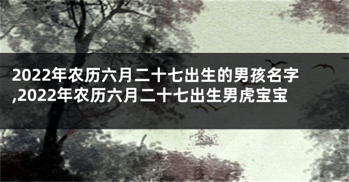 2022年农历六月二十七出生的男孩名字,2022年农历六月二十七出生男虎宝宝