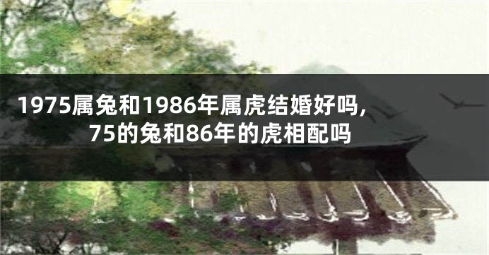 1975属兔和1986年属虎结婚好吗,75的兔和86年的虎相配吗