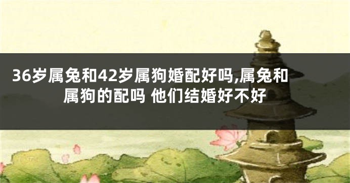 36岁属兔和42岁属狗婚配好吗,属兔和属狗的配吗 他们结婚好不好