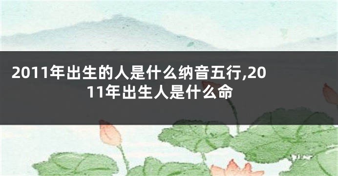 2011年出生的人是什么纳音五行,2011年出生人是什么命