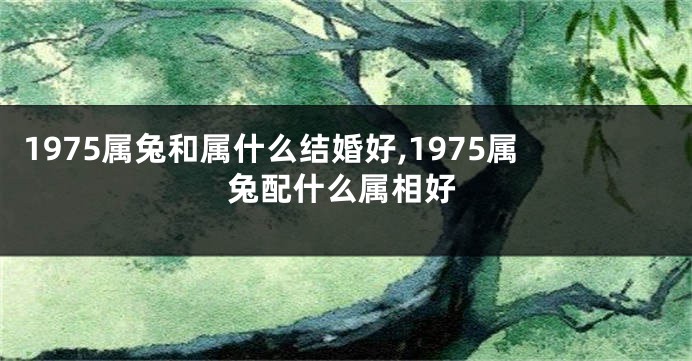 1975属兔和属什么结婚好,1975属兔配什么属相好