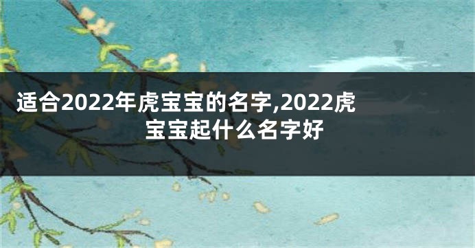 适合2022年虎宝宝的名字,2022虎宝宝起什么名字好
