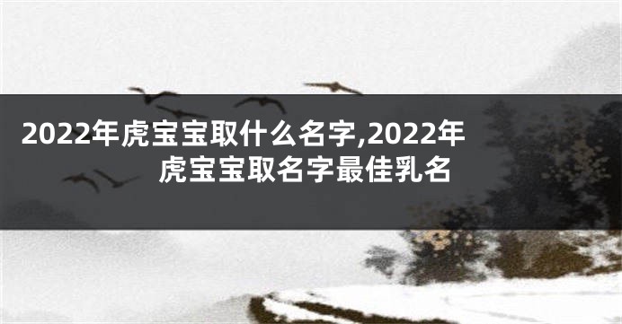 2022年虎宝宝取什么名字,2022年虎宝宝取名字最佳乳名
