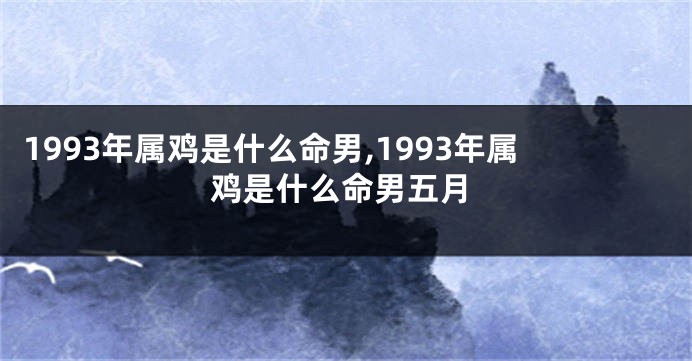 1993年属鸡是什么命男,1993年属鸡是什么命男五月