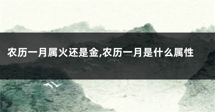农历一月属火还是金,农历一月是什么属性
