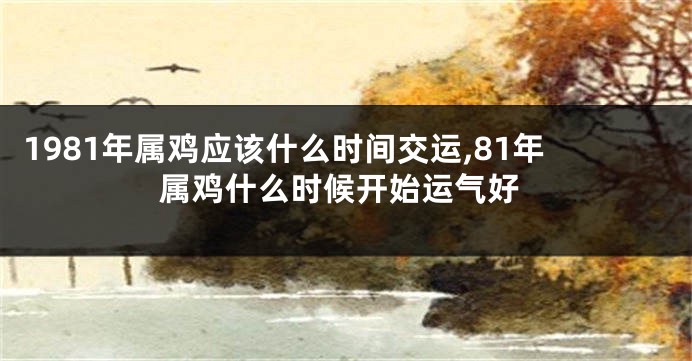 1981年属鸡应该什么时间交运,81年属鸡什么时候开始运气好